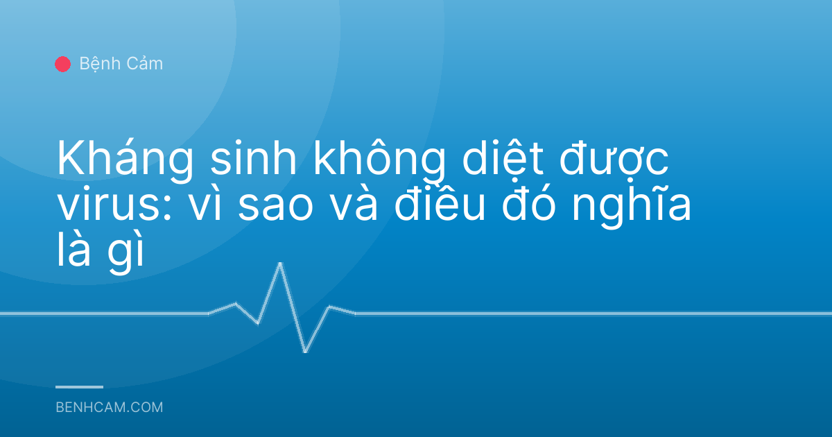 Kháng sinh không diệt được virus: vì sao và điều đó nghĩa là gì
